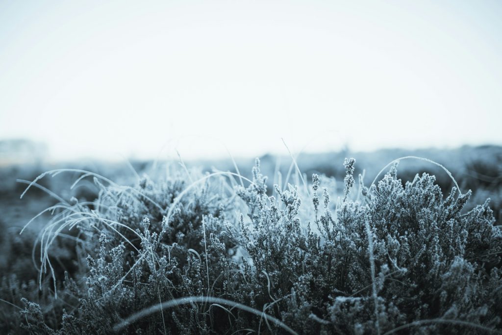 Mroźny wyż nad Jaworem i deszczowy front w New Jersey – przegląd sytuacji meteorologicznej