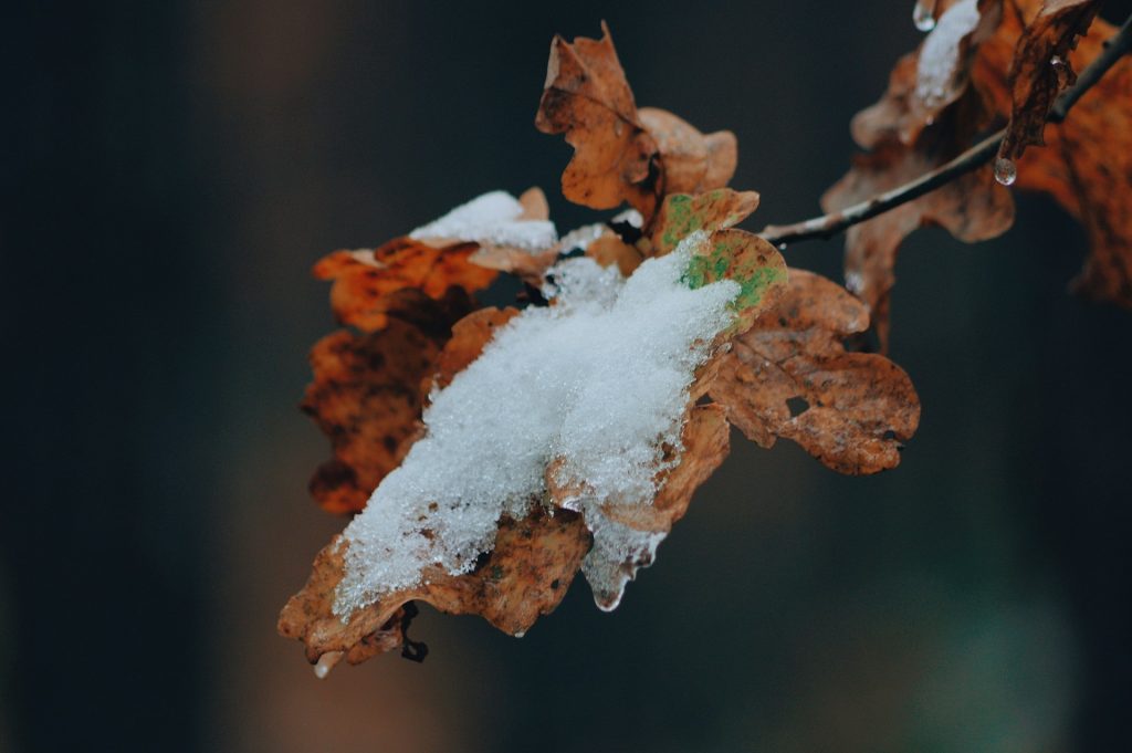 Aktualna sytuacja i ostrzeżenie dla kierowców